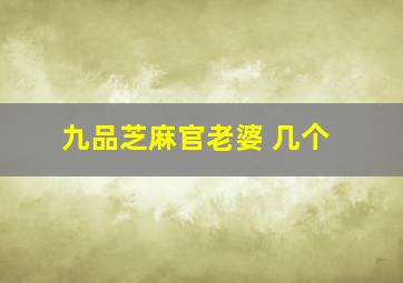 九品芝麻官老婆 几个